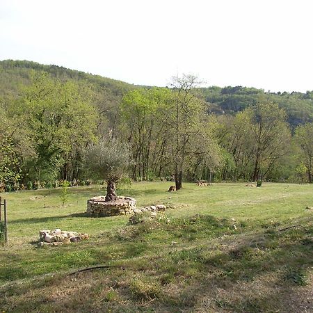 Studio aux Eyzies au coeur de la vallée de l'homme Les Eyzies Exterior foto