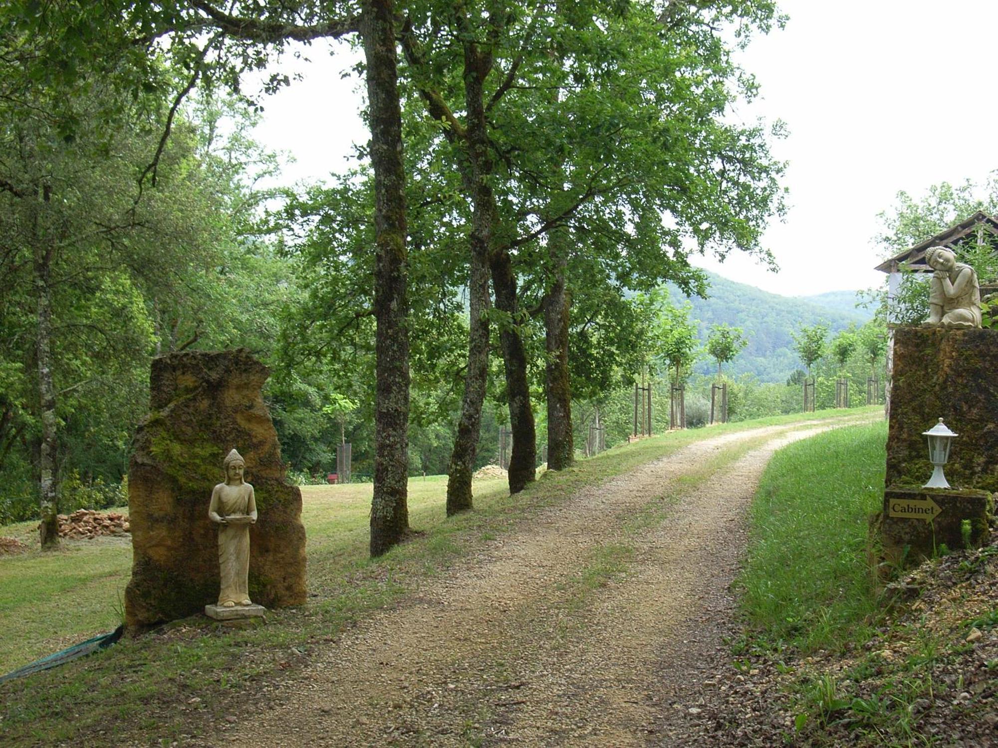 Studio aux Eyzies au coeur de la vallée de l'homme Les Eyzies Exterior foto