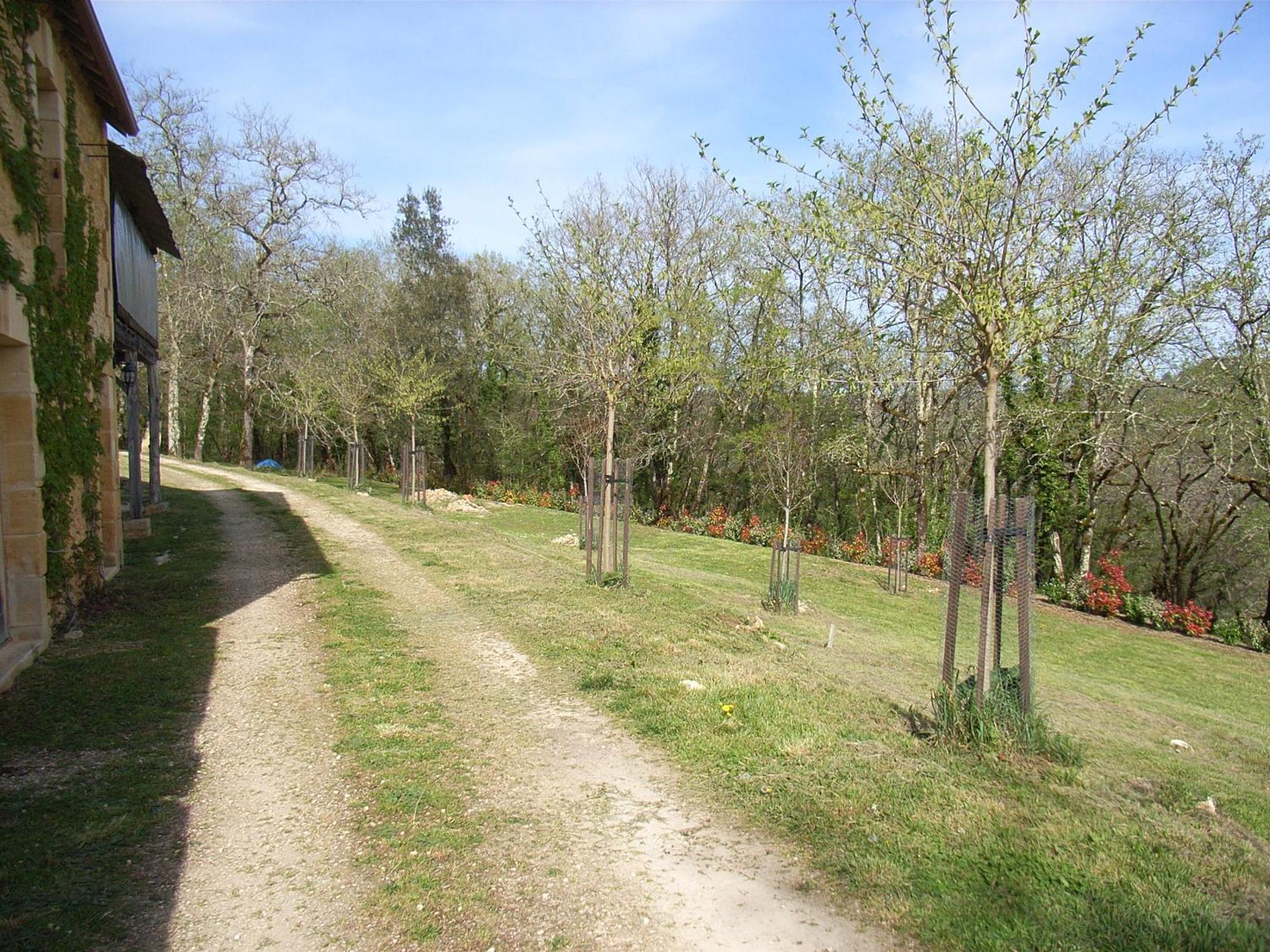 Studio aux Eyzies au coeur de la vallée de l'homme Les Eyzies Exterior foto