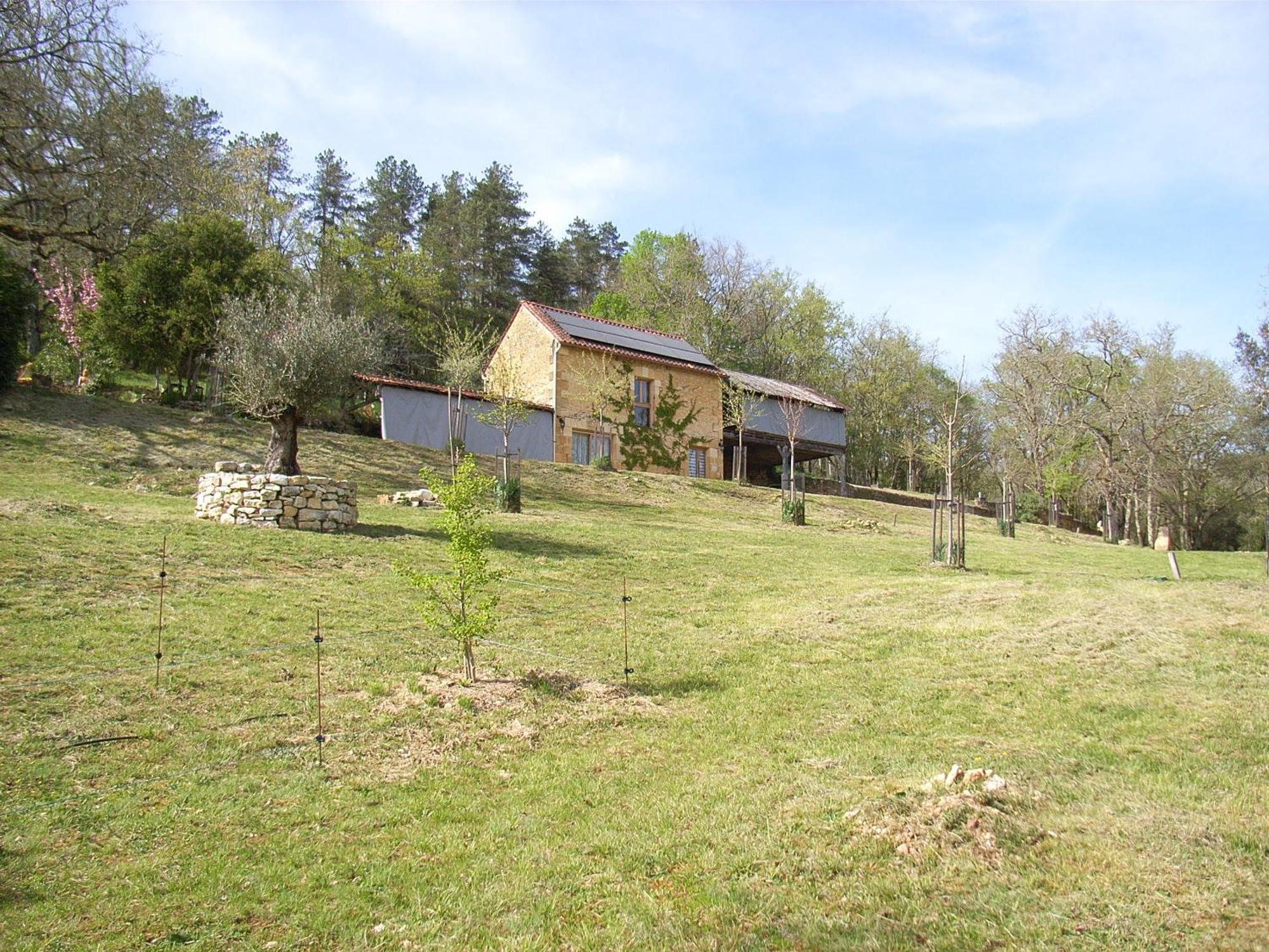 Studio aux Eyzies au coeur de la vallée de l'homme Les Eyzies Exterior foto